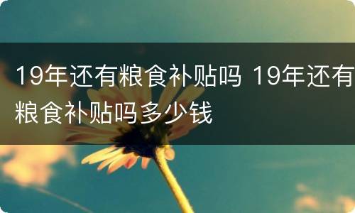 19年还有粮食补贴吗 19年还有粮食补贴吗多少钱