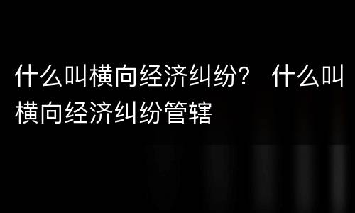什么叫横向经济纠纷？ 什么叫横向经济纠纷管辖