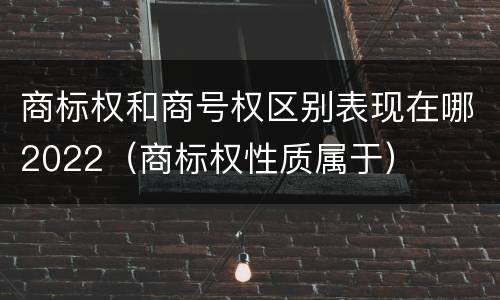 商标权和商号权区别表现在哪2022（商标权性质属于）