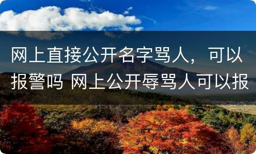 网上直接公开名字骂人，可以报警吗 网上公开辱骂人可以报警吗
