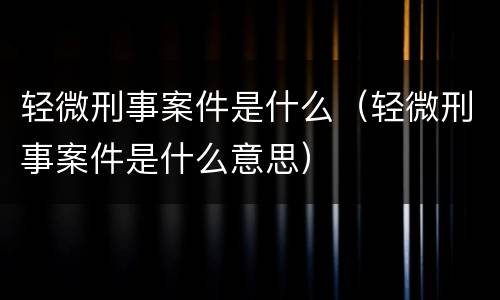 轻微刑事案件是什么（轻微刑事案件是什么意思）