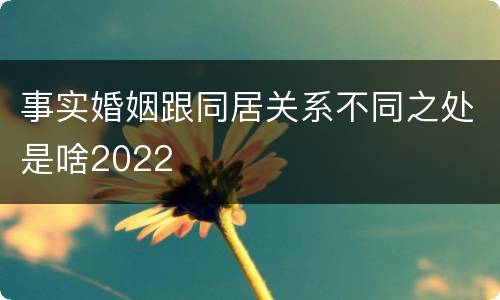 事实婚姻跟同居关系不同之处是啥2022