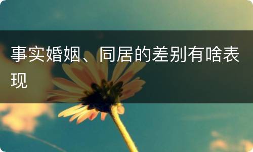 事实婚姻、同居的差别有啥表现