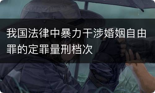 我国法律中暴力干涉婚姻自由罪的定罪量刑档次