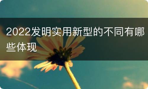 2022发明实用新型的不同有哪些体现