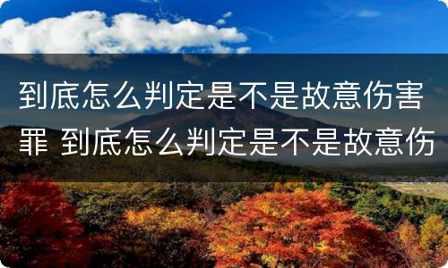 到底怎么判定是不是故意伤害罪 到底怎么判定是不是故意伤害罪的标准