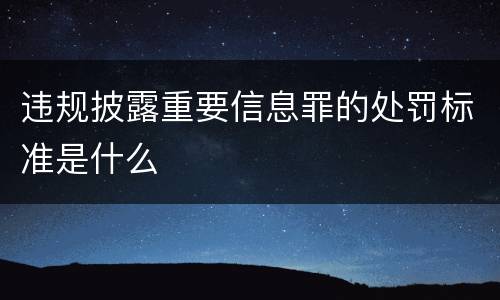 违规披露重要信息罪的处罚标准是什么