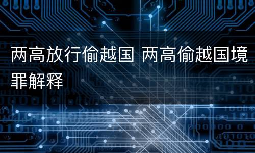 两高放行偷越国 两高偷越国境罪解释