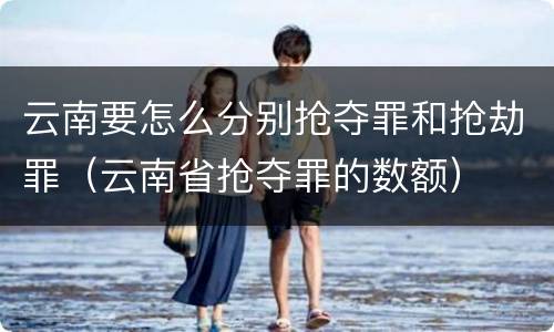 云南要怎么分别抢夺罪和抢劫罪（云南省抢夺罪的数额）