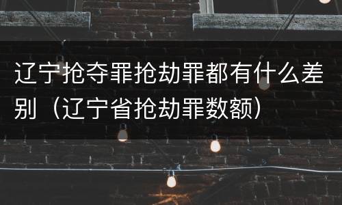辽宁抢夺罪抢劫罪都有什么差别（辽宁省抢劫罪数额）