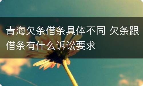 青海欠条借条具体不同 欠条跟借条有什么诉讼要求