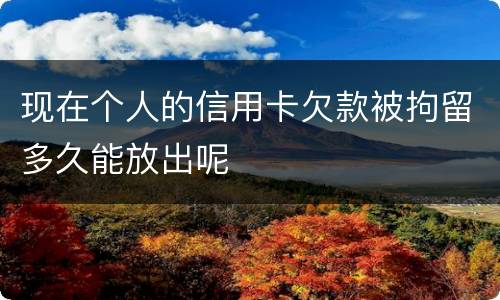 现在个人的信用卡欠款被拘留多久能放出呢
