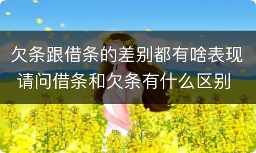 欠条跟借条的差别都有啥表现 请问借条和欠条有什么区别