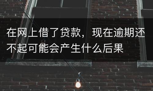 在网上借了贷款，现在逾期还不起可能会产生什么后果