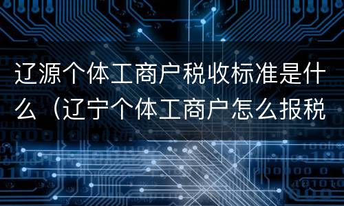 辽源个体工商户税收标准是什么（辽宁个体工商户怎么报税）