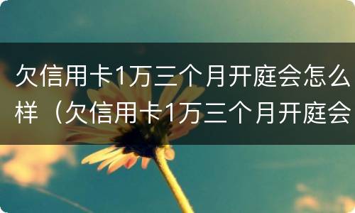 欠信用卡1万三个月开庭会怎么样（欠信用卡1万三个月开庭会怎么样呢）