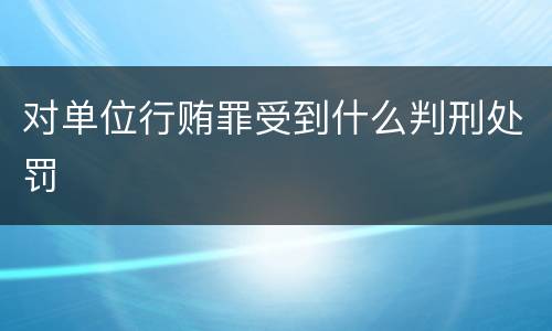 对单位行贿罪受到什么判刑处罚