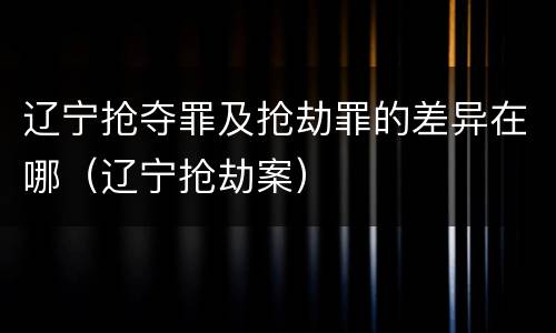 辽宁抢夺罪及抢劫罪的差异在哪（辽宁抢劫案）