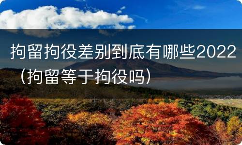 拘留拘役差别到底有哪些2022（拘留等于拘役吗）
