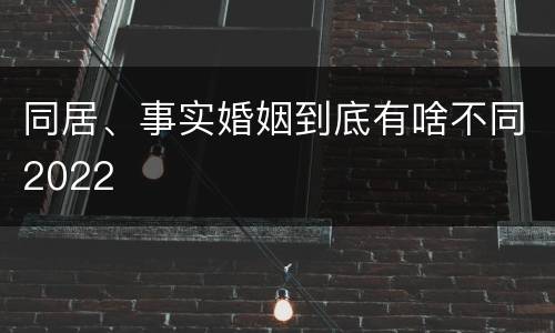 同居、事实婚姻到底有啥不同2022