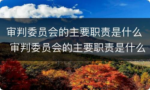 审判委员会的主要职责是什么 审判委员会的主要职责是什么呢