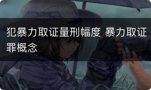 犯暴力取证量刑幅度 暴力取证罪概念