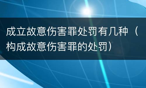 成立故意伤害罪处罚有几种（构成故意伤害罪的处罚）