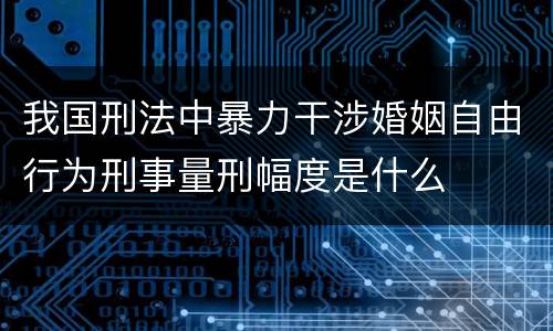 我国刑法中暴力干涉婚姻自由行为刑事量刑幅度是什么