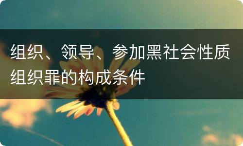 组织、领导、参加黑社会性质组织罪的构成条件