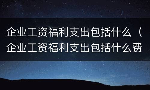 企业工资福利支出包括什么（企业工资福利支出包括什么费用）