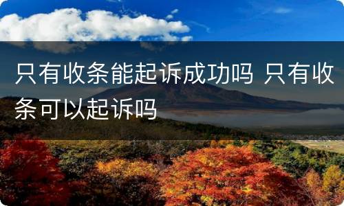 只有收条能起诉成功吗 只有收条可以起诉吗