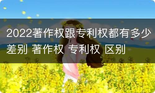 2022著作权跟专利权都有多少差别 著作权 专利权 区别