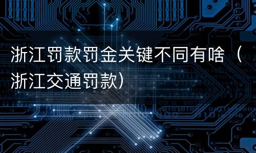 浙江罚款罚金关键不同有啥（浙江交通罚款）