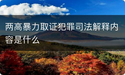 两高暴力取证犯罪司法解释内容是什么