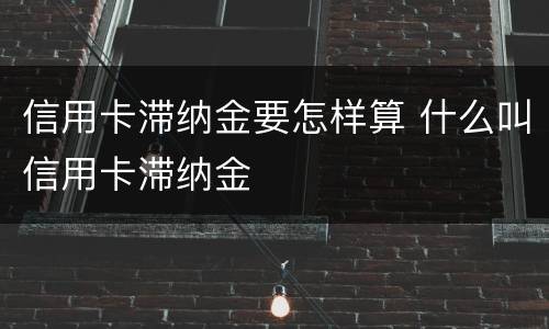 信用卡滞纳金要怎样算 什么叫信用卡滞纳金