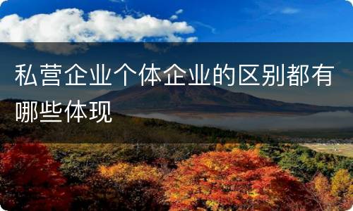 私营企业个体企业的区别都有哪些体现
