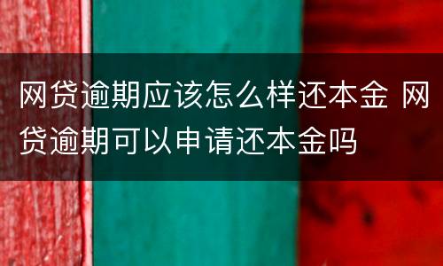 网贷逾期应该怎么样还本金 网贷逾期可以申请还本金吗