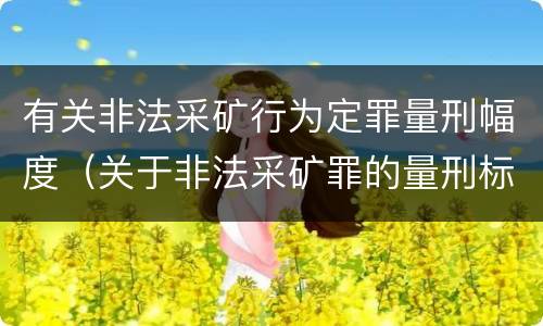 有关非法采矿行为定罪量刑幅度（关于非法采矿罪的量刑标准）