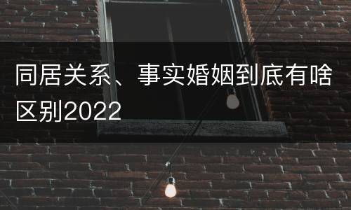同居关系、事实婚姻到底有啥区别2022