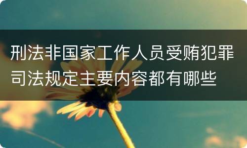 刑法非国家工作人员受贿犯罪司法规定主要内容都有哪些