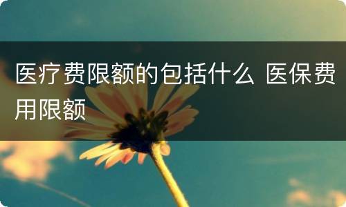 医疗费限额的包括什么 医保费用限额