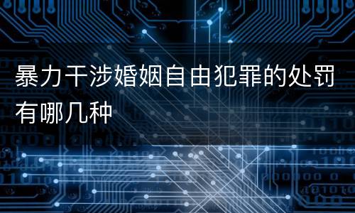 暴力干涉婚姻自由犯罪的处罚有哪几种