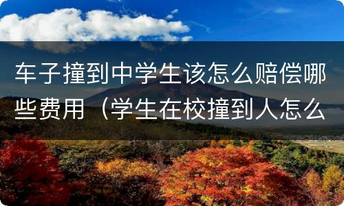 车子撞到中学生该怎么赔偿哪些费用（学生在校撞到人怎么赔钱）