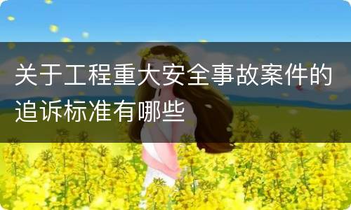 关于工程重大安全事故案件的追诉标准有哪些