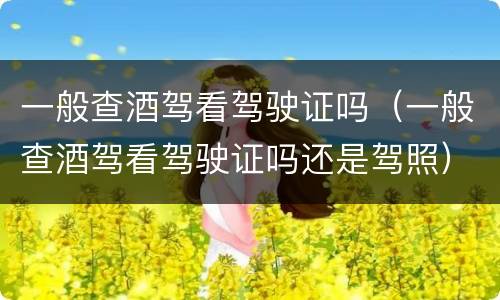 一般查酒驾看驾驶证吗（一般查酒驾看驾驶证吗还是驾照）