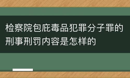 检察院包庇毒品犯罪分子罪的刑事刑罚内容是怎样的