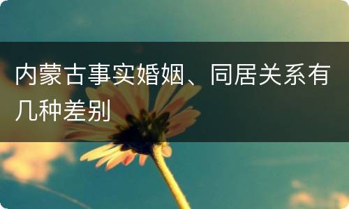 内蒙古事实婚姻、同居关系有几种差别