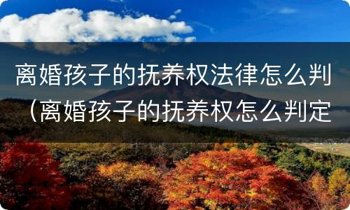 离婚孩子的抚养权法律怎么判（离婚孩子的抚养权怎么判定）