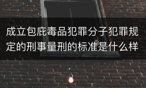 成立包庇毒品犯罪分子犯罪规定的刑事量刑的标准是什么样的
