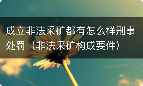 成立非法采矿都有怎么样刑事处罚（非法采矿构成要件）